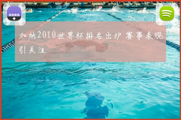 加纳2010世界杯排名出炉 赛事表现引关注