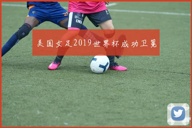 美国女足2019世界杯成功卫冕